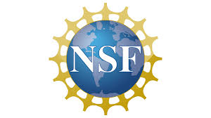 NSF Logo and symbol, meaning, history, PNG, brand